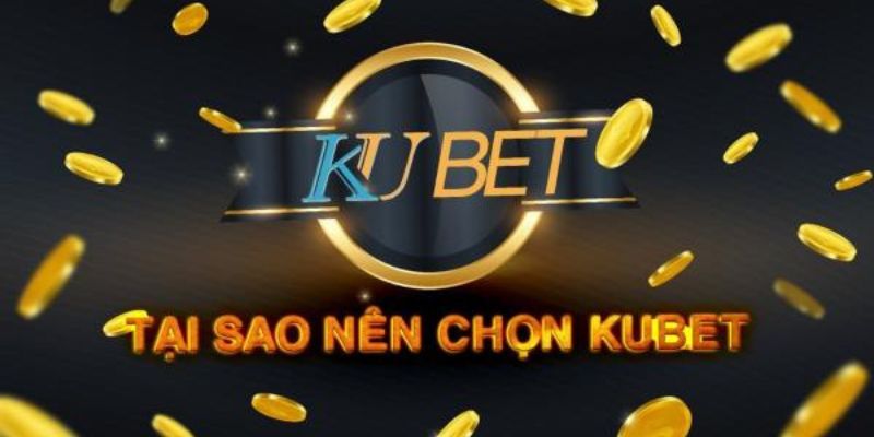 Vị trí máy chủ của trang Kubet